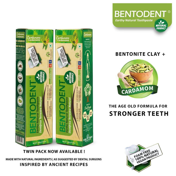 Bentodent Biodegradable Wirefree Interdental Brushes / Toothpick - 30 –  Bentodent Americas